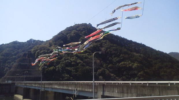 2017.4.6koinobori-1.jpg