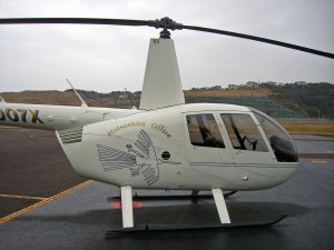 r44-1%202010.1.31%20.JPG