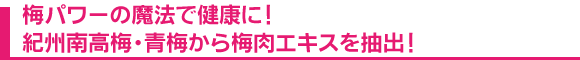�~�p���[�̖��@�Ō��N�ɁI�I�B�썂�~�E�~����~���G�L�X�𒊏o�I